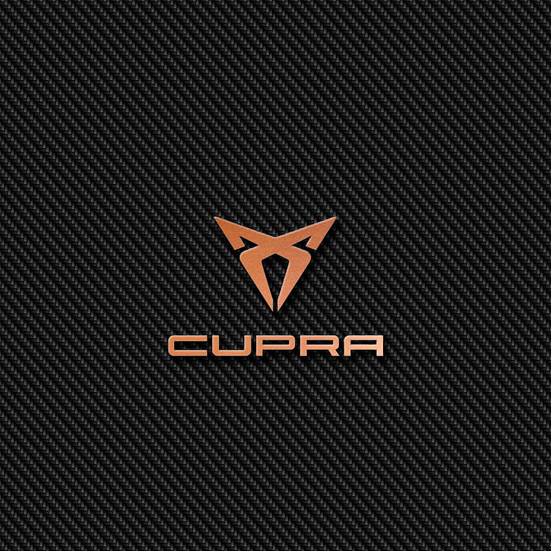 Cupra | Electric Car Charger EV Cables for Cupra type 1, type 2 and Portable Charging Cables