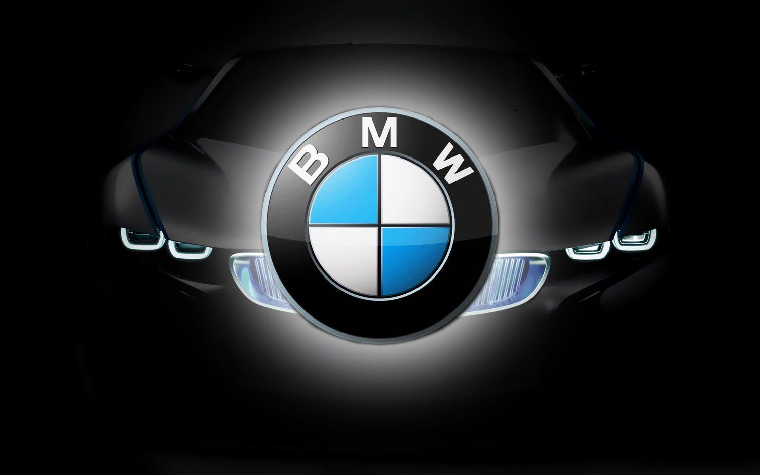 BMW | Electric Car Charger EV Cables for BMW type 1, type 2 and Portable Charging Cables